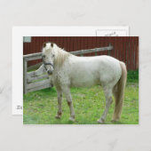 白馬 ポストカード (正面/裏面)
