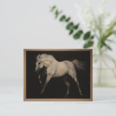 白馬 ポストカード (スタンド正面)