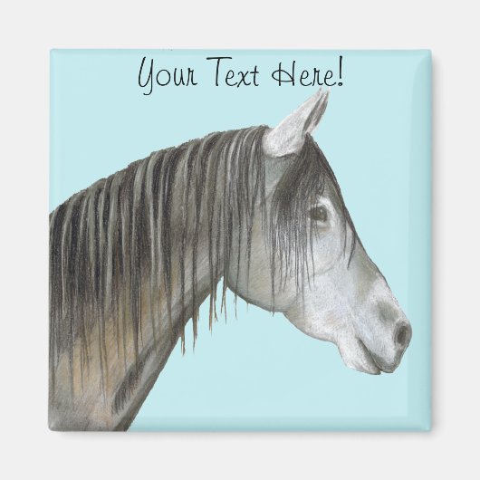 白馬 マグネット (正面)