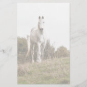 白馬 便箋 (正面)