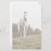 白馬 便箋 (正面/裏面)