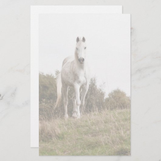 白馬 便箋 (正面/裏面)