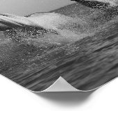 白馬、海、白黒の写真 ポスター (角)