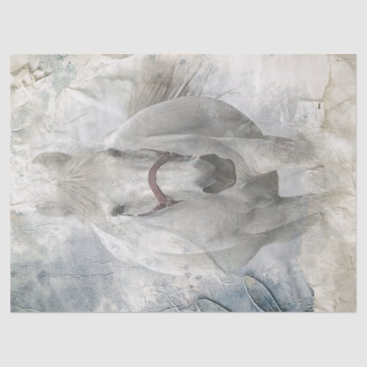 白馬 薄葉紙 (正面)