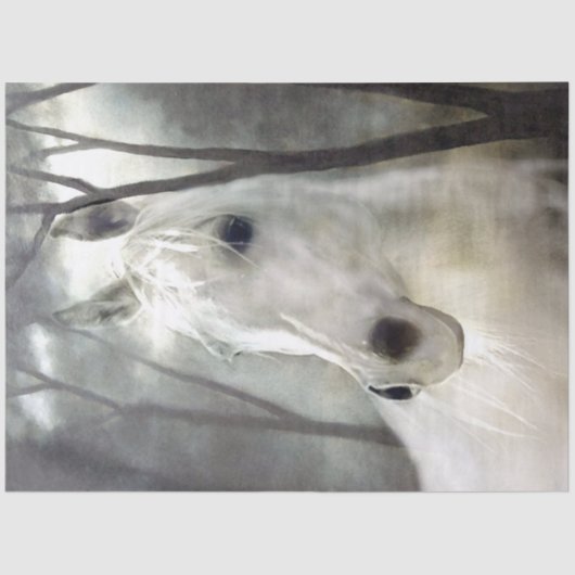 白馬 薄葉紙 (正面)