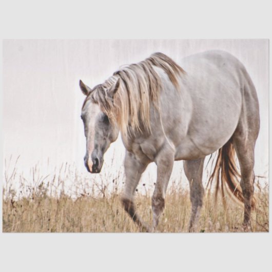 白馬 薄葉紙 (正面)