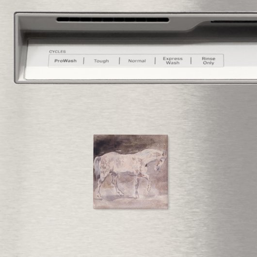 白馬(Eugene Delacroix) マグネット (インサイチュ (食洗機))