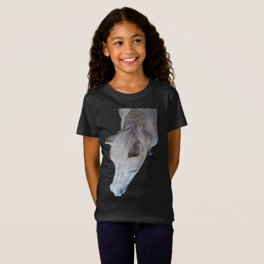 白馬 Tシャツ (正面フル)
