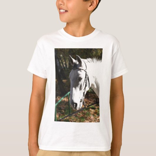 白馬 Tシャツ (正面)