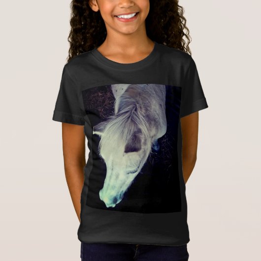白馬 Tシャツ (正面)