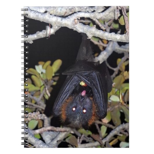 白髪の飛んでいるキツネ ノートブック (正面)