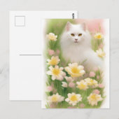 白髪長猫 ポストカード (正面/裏面)