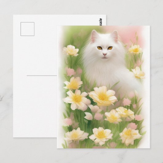 白髪長猫 ポストカード (正面/裏面)