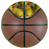 白魅力的帯カイクパロット バスケットボール (右)