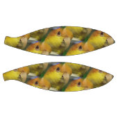 白魅力的帯カイクパロット バスケットボール (パネル)