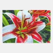 白鮮やかと黄色のプルメリア ラッピングペーパーシート (正面2)