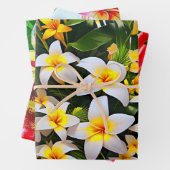 白鮮やかと黄色のプルメリア ラッピングペーパーシート (インサイチュ)