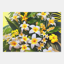 白鮮やかと黄色のプルメリア