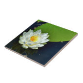 白鮮やか水百合写真 タイル (側面)