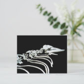 白鯨の化石 ポストカード (スタンド正面)