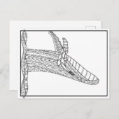 白鯨はがき ポストカード (正面/裏面)