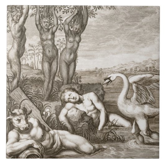 白鳥およびフェートン型オープンカーのSisteに変形する白鳥座 タイル (正面)