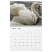 白鳥およびcygnetsのカレンダー カレンダー (1月 2026)