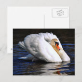 白鳥が帆を張る ポストカード (正面/裏面)