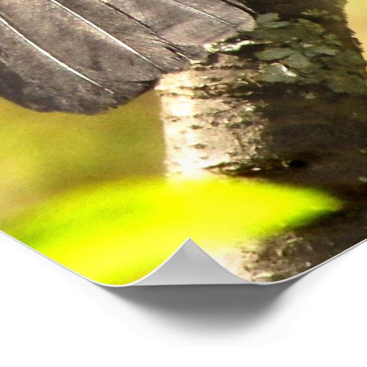 白鳥が歌のポスターを歌う ポスター (角)