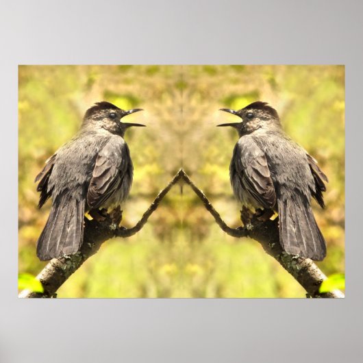 白鳥が歌のポスターを歌う ポスター (正面)