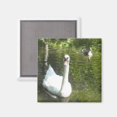 白鳥が池に マグネット (正面/裏面)