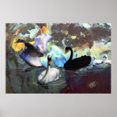 白鳥が泳ぐ ポスター (正面)