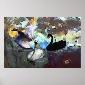 白鳥が泳ぐ ポスター