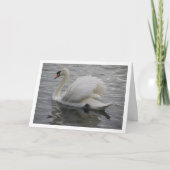 白鳥が湖を滑空 カード (正面)