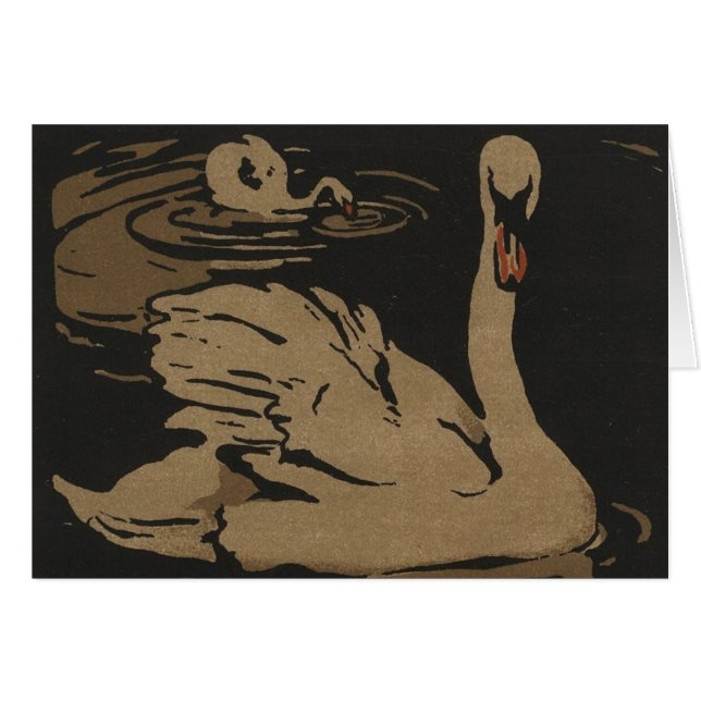 白鳥とその反射 (正面横)