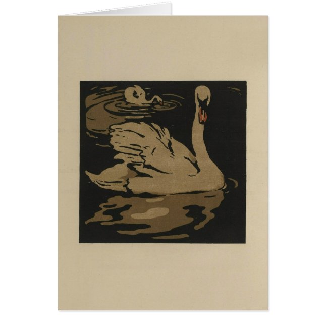 白鳥とその反射 (正面)