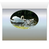 白鳥とひな (内部横(下))