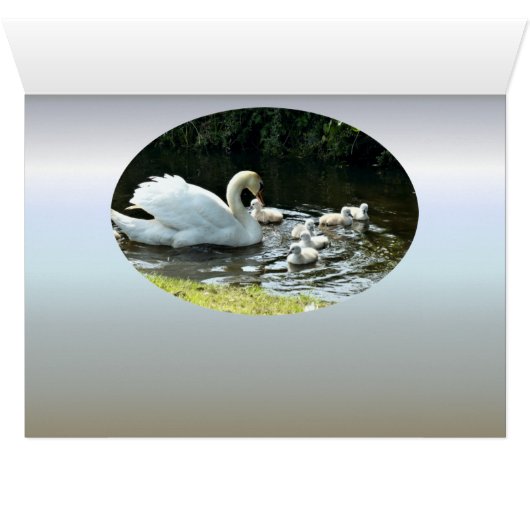 白鳥とひな (内部横(下))