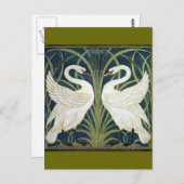 白鳥とイグサの壁紙 ポストカード (正面/裏面)