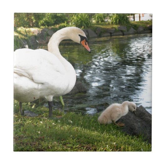 白鳥とシグネットセラミックタイル タイル (正面)