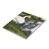 白鳥とシグネットセラミックタイル タイル (側面)