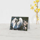 白鳥とシグネット カード (黄色い花)