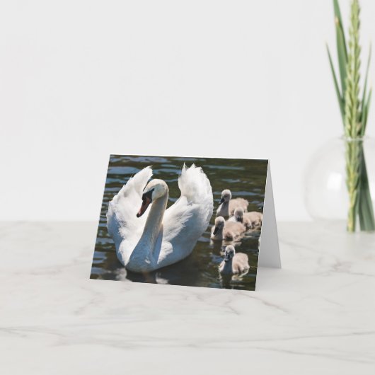 白鳥とシグネット カード (正面)