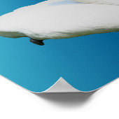 白鳥とハイビスカスの花があなたのテキストを追加 ポスター (角)