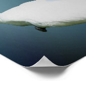 白鳥とハイビスカスフラワー自然アート ポスター (角)