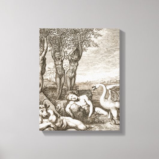 白鳥とフェートンのサイトに変化したシグナス キャンバスプリント (正面)