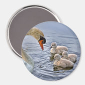 白鳥とベビー磁石 マグネット (正面/裏面)