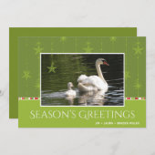 白鳥と星のオーナメントの季節の挨拶 シーズンカード (正面/裏面)