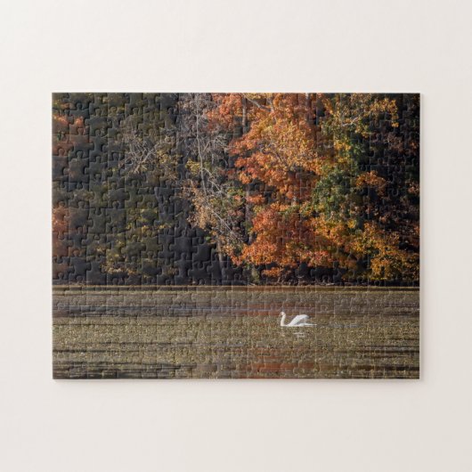 白鳥と秋の葉 ジグソーパズル (横)