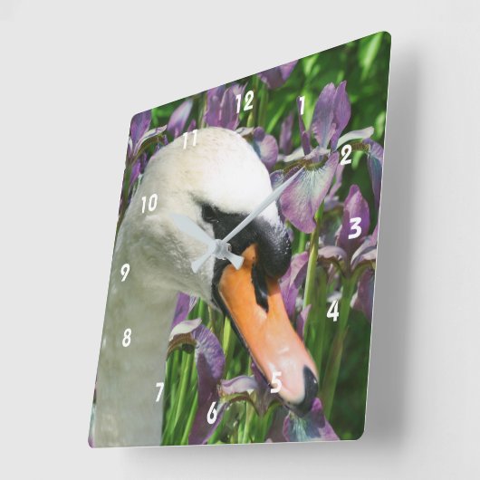 白鳥と紫の髭のあやめの花 スクエア壁時計 (傾斜)